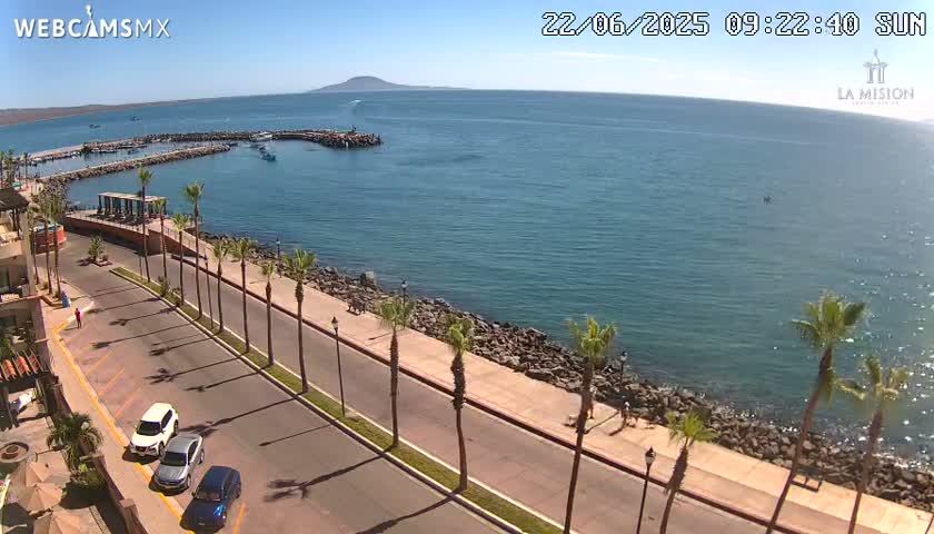 A sunny day overlooking a coastal road lined with palm trees, a small harbor, and a calm ocean with a distant island.