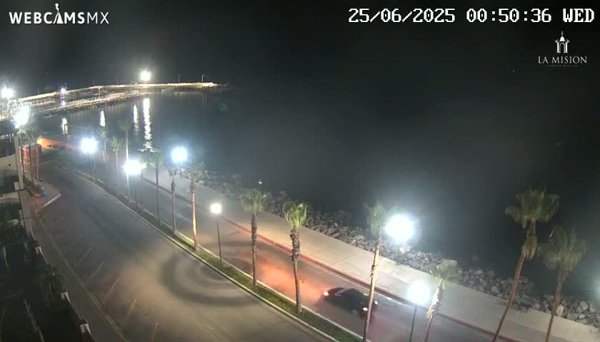 A nighttime view of a coastal road lined with palm trees, illuminated by streetlights, next to a calm body of water with a pier in the distance.