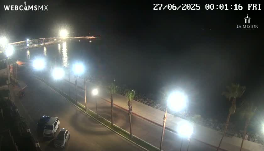 A nighttime, brightly lit coastal road scene shows a few parked cars, palm trees lining a paved walkway next to a body of water, and a pier in the distance.