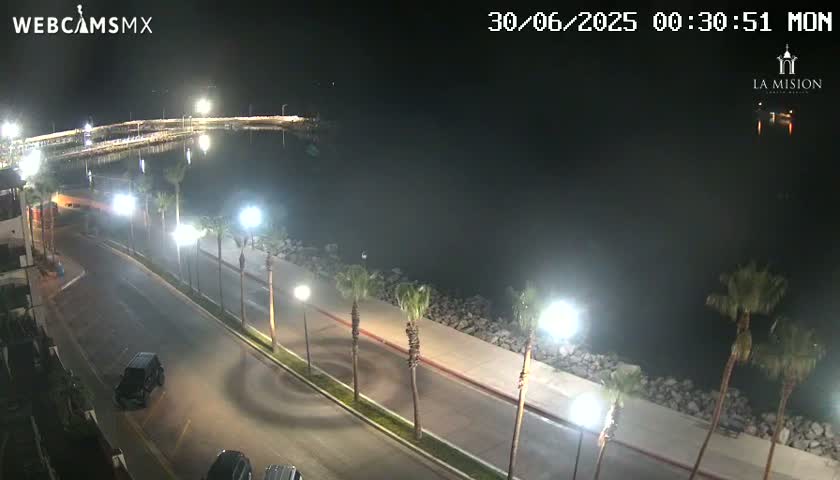 A nighttime view of a coastal road lined with palm trees, illuminated by streetlights, overlooking a calm body of water.