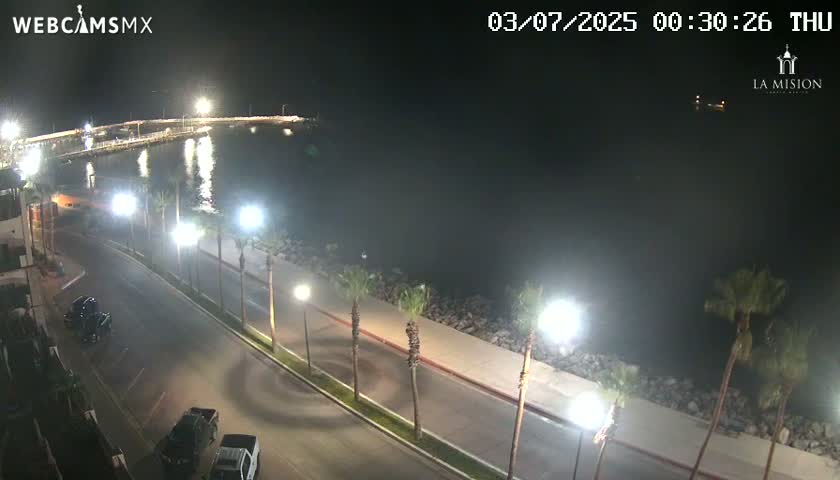 A nighttime view of a coastal road lined with palm trees, parking lots, and a body of water with a pier in the background.