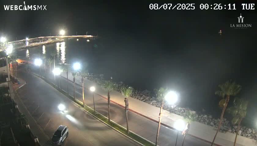 A nighttime, coastal scene shows a paved road lined with palm trees next to a calm body of water, with a pier and lights visible in the distance.