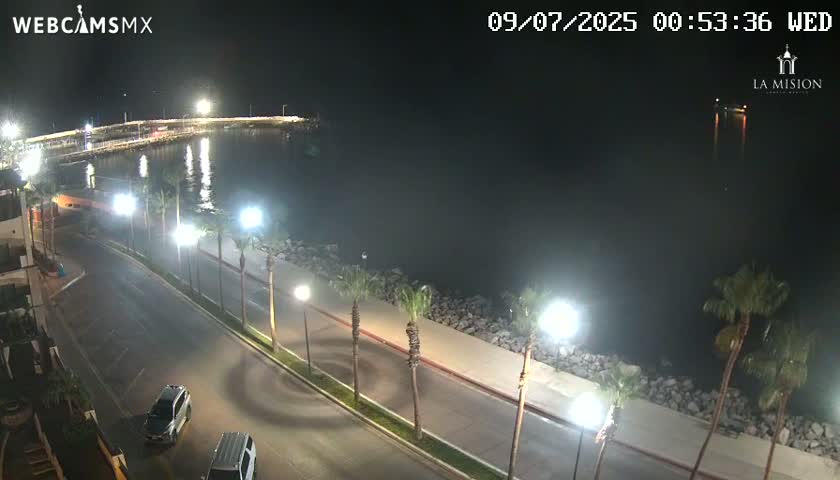 A nighttime, coastal scene shows a roadway lined with palm trees and lights next to a calm body of water with a pier in the distance.