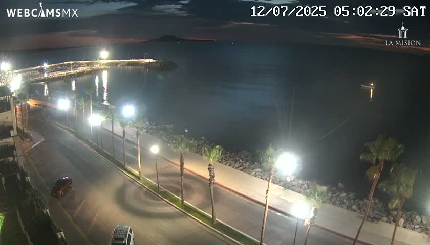 A nighttime, coastal scene shows a roadway lined with palm trees and lights next to a calm body of water with a pier in the distance.