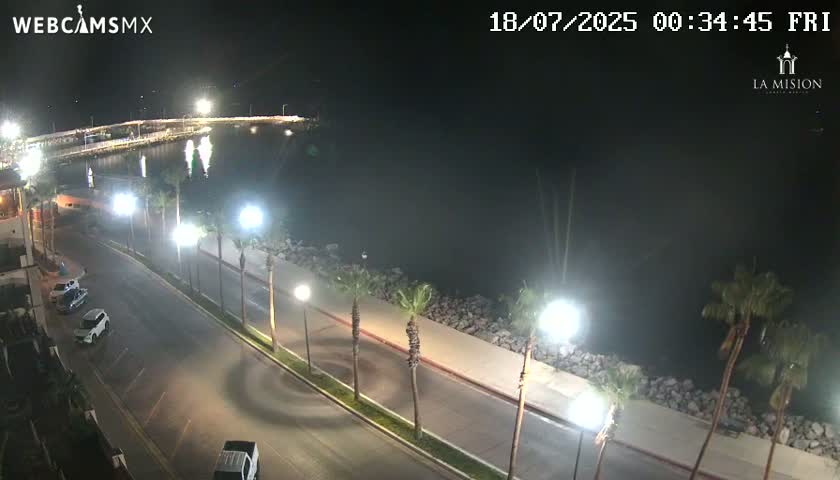 A nighttime, high-angle view shows a paved road lined with palm trees next to a calm body of water, with several cars parked along the roadside and a pier visible in the distance.