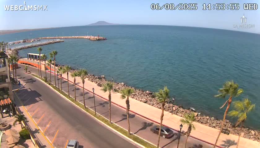 A coastal road lined with palm trees curves along a rocky shoreline next to a calm body of water under a sunny sky.