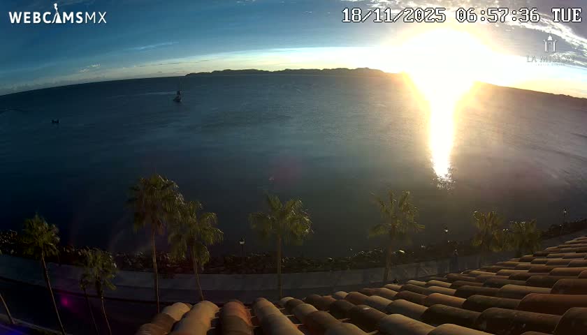 A clear night view reveals a brightly illuminated pier extending into dark waters, bordered by a coastal road with streetlights, palm trees, and parked cars.