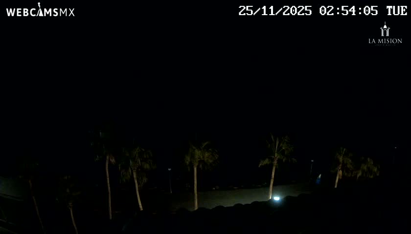 A dimly lit beach with several palm trees is visible at night under clear skies.