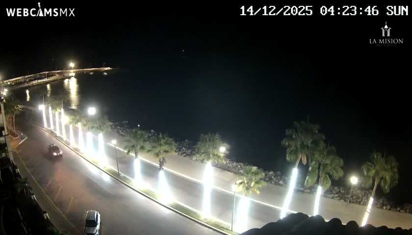 A dimly lit beach with several palm trees is visible at night under clear skies.
