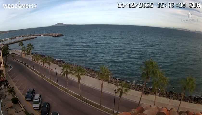 A dimly lit beach with several palm trees is visible at night under clear skies.