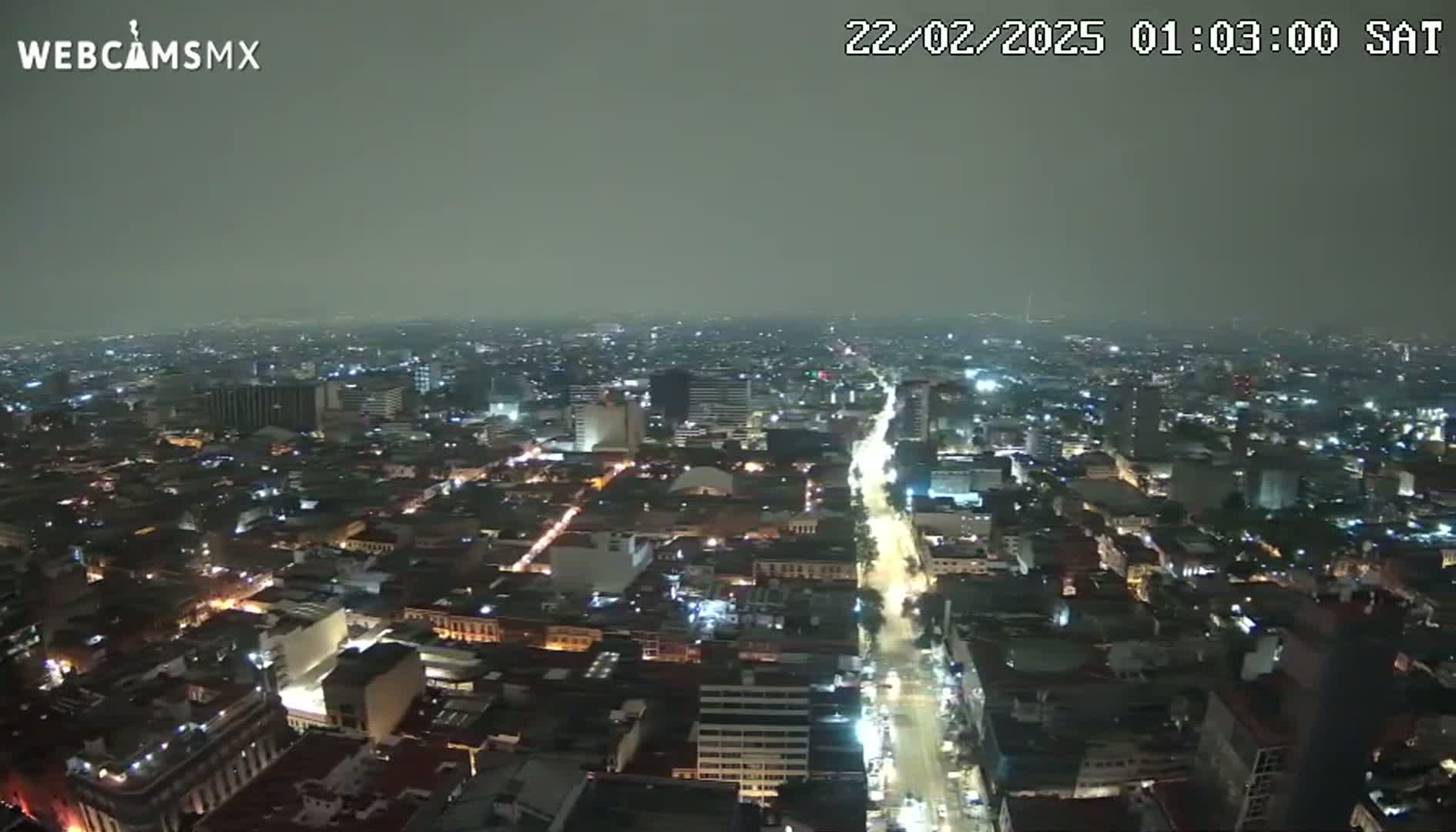 A nighttime, hazy view of a sprawling city with illuminated streets and buildings.
