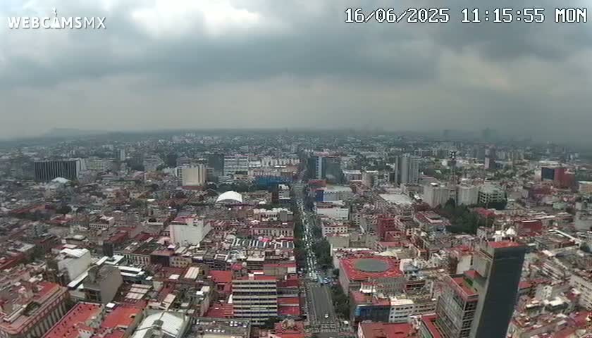 A high-angle, long shot of a sprawling city under a cloudy sky shows densely packed buildings and streets extending to the horizon.