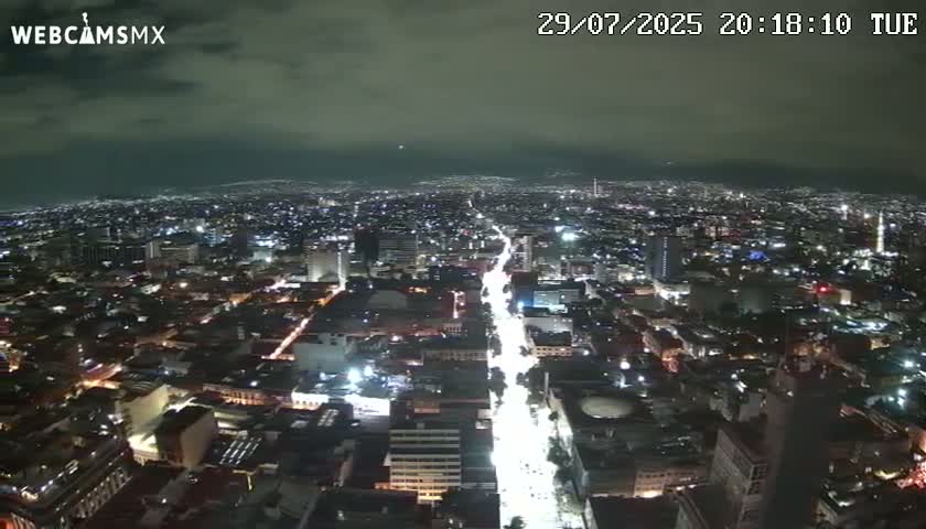 A nighttime, hazy view from a tall structure overlooking a sprawling city illuminated by streetlights.