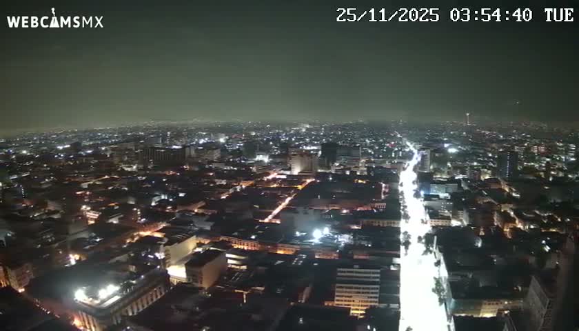 An expansive urban landscape is seen from a high viewpoint at night, featuring a brightly illuminated main street cutting through a city sparkling with lights under a clear sky.