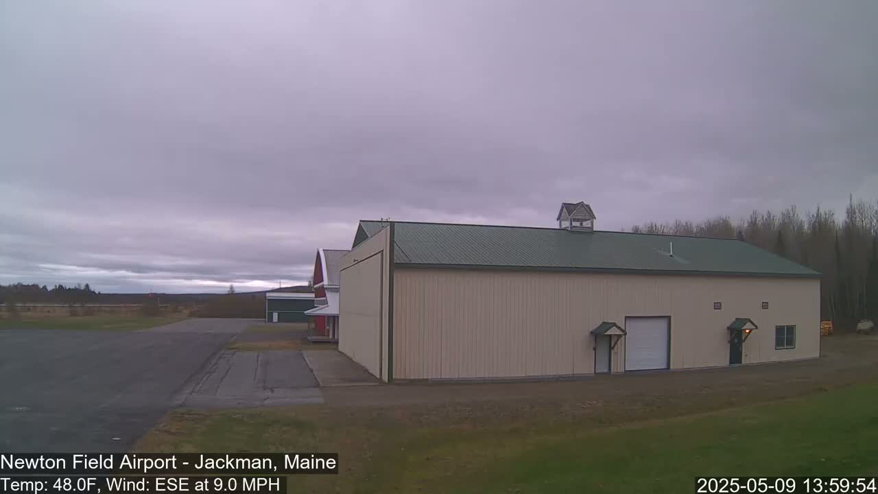 A large tan hangar with a green roof sits on an airfield under an overcast sky.