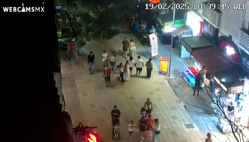 A nighttime, outdoor view of a city street shows numerous people walking in groups and individually along a paved walkway, lined with buildings and shops.