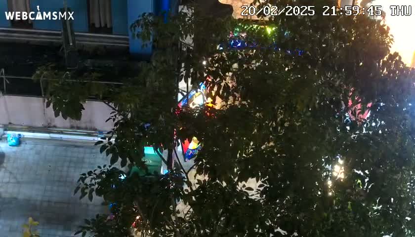 A nighttime view from above shows a street and building partially obscured by a leafy tree, with colorful lights visible through the branches.