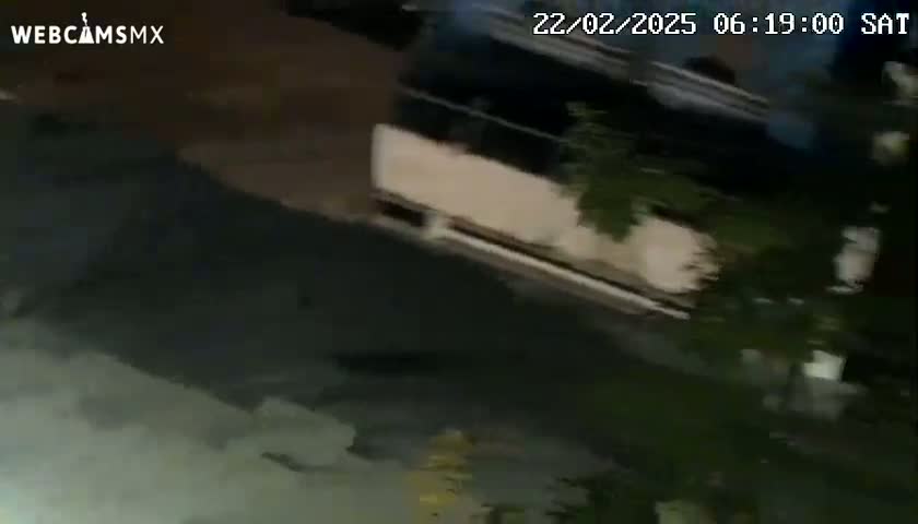A dark-colored vehicle is partially visible at night, surrounded by dark shrubbery.