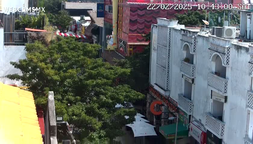 A high-angle view of a city street scene on a sunny day, showing buildings, lush green trees, and outdoor seating areas.
