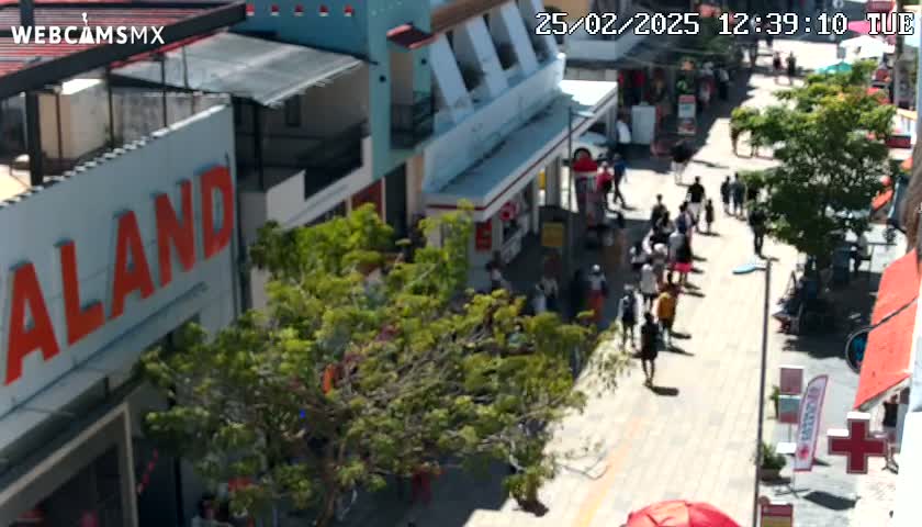 A sunny, outdoor street scene shows a crowd of people walking on a pedestrian area lined with buildings and trees.
