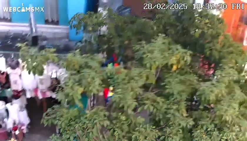 A partially obscured view of people and clothing near a building, seen through dense green foliage in daylight.