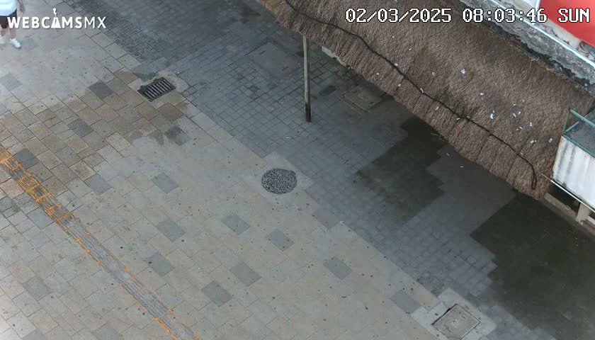 A high-angle view shows a paved street with a person walking in the distance, partially visible under a thatched roof.