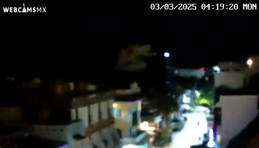 A nighttime, blurry long shot of a town or village with buildings illuminated by artificial lights.