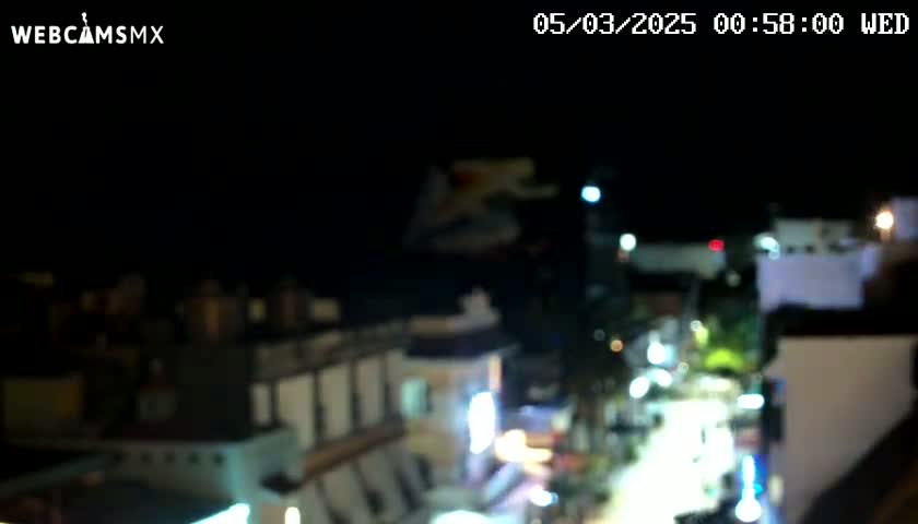A blurry nighttime view of a city street with illuminated buildings and some vegetation.