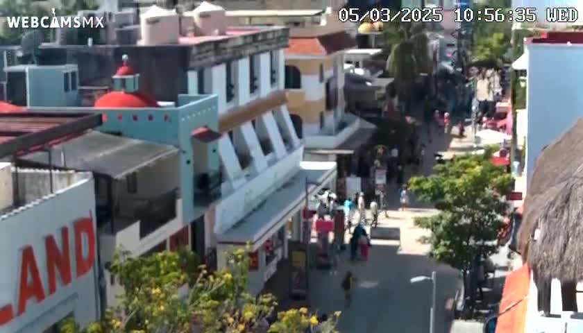 A sunny, outdoor pedestrian street scene shows multiple buildings and many people walking along a paved walkway, with lush green trees growing along the sides.