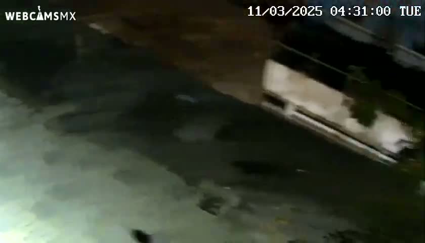 A nighttime, blurry image shows a large white vehicle moving across a dark, wet street.