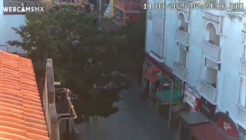 A flooded street scene is viewed from an elevated position, showing buildings with balconies and a large tree partially submerged in the water.