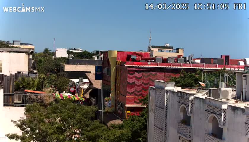 A high-angle view on a sunny day shows a city street with multi-story buildings of varying architectural styles, lush green foliage, and a hint of ocean in the distance.