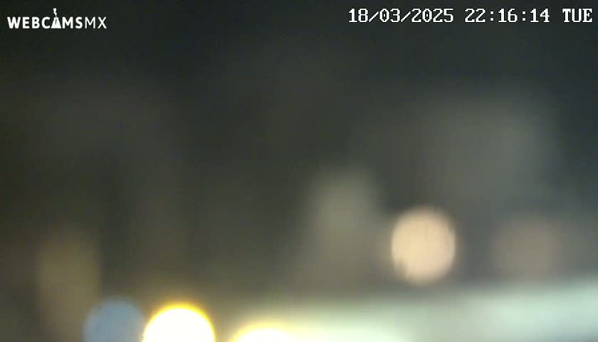 A blurry, nighttime image shows out-of-focus lights in the distance.