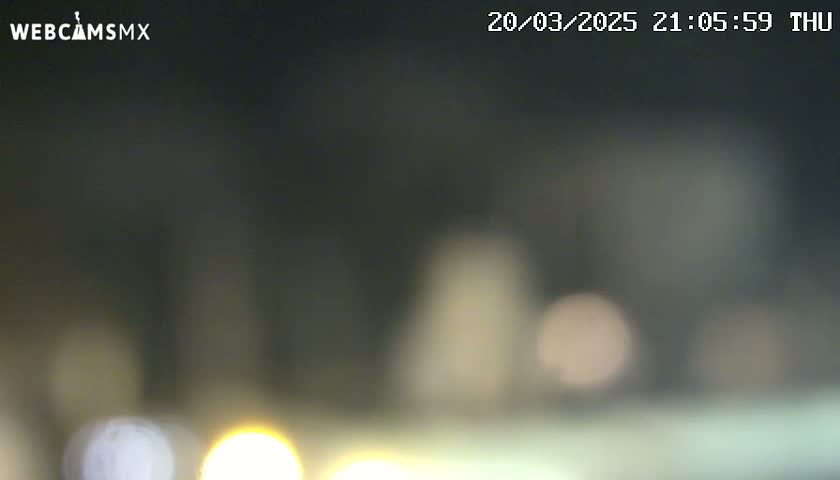 A blurry nighttime image shows out-of-focus lights in the distance.