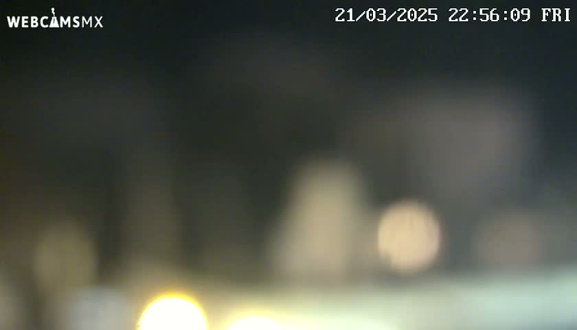 A blurry nighttime image shows out-of-focus lights and dark shapes.