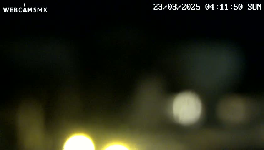 Blurry yellow and white lights are visible in the dark, possibly from vehicles at night.