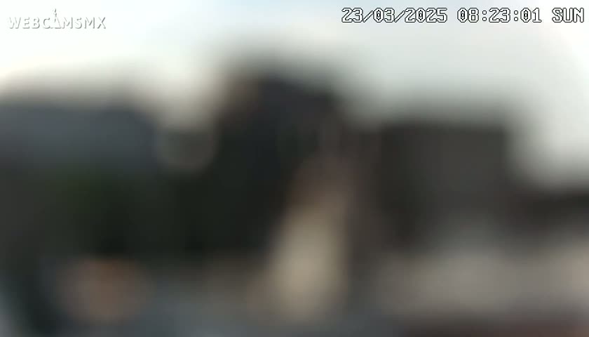 A blurry outdoor image shows indistinct dark shapes under a mostly clear sky.