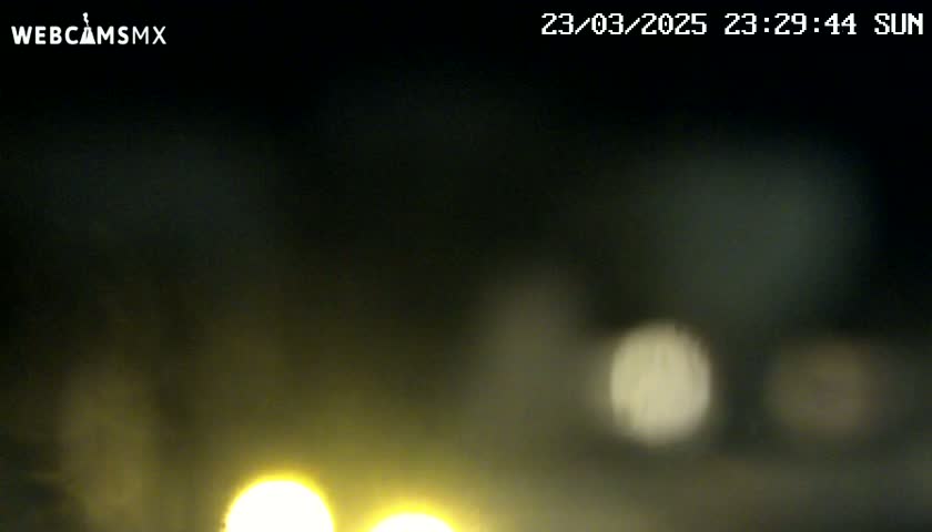 Blurry nighttime image showing out-of-focus yellow and white lights.