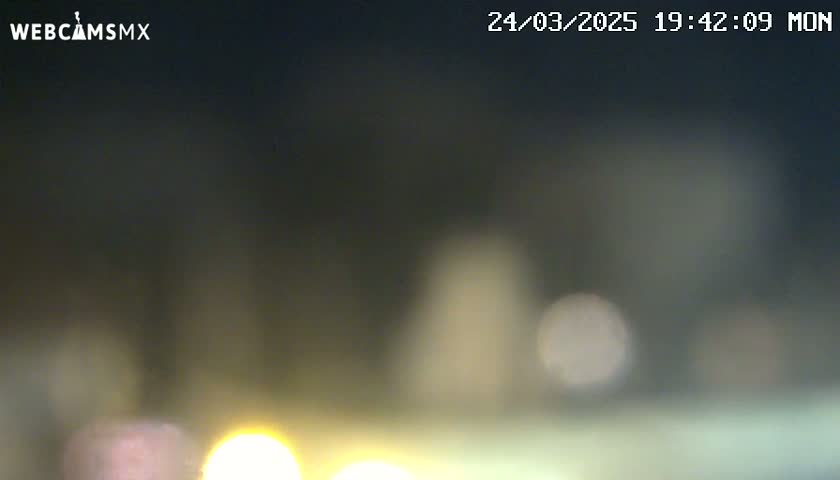 A blurry nighttime image shows out-of-focus lights and indistinct shapes in the distance.