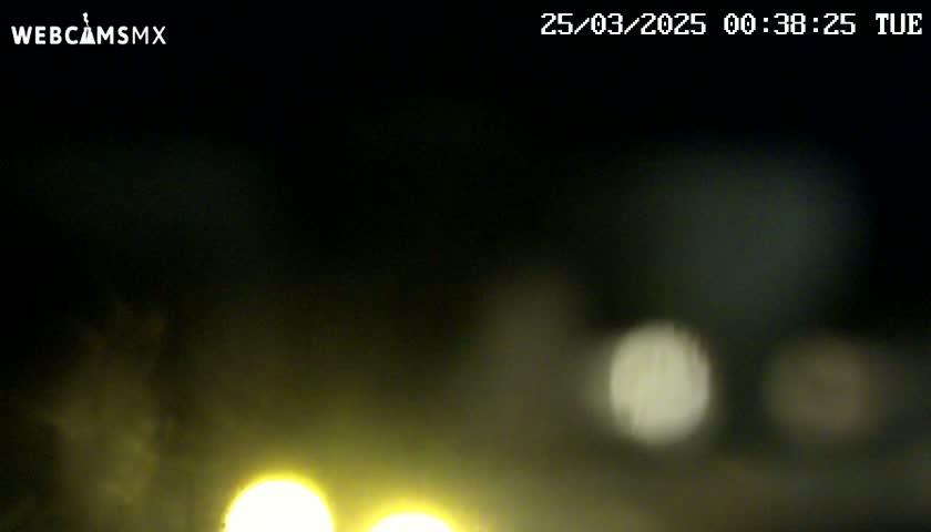 A blurry night-time image shows out-of-focus headlights and lights from other vehicles in foggy or misty conditions.