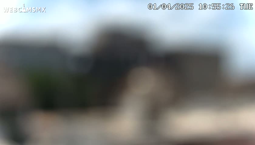 A blurry outdoor image shows mostly muted gray and brown tones under a partly cloudy sky.