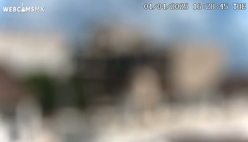A blurry outdoor image shows muted colors of buildings and vegetation under a mostly clear sky.