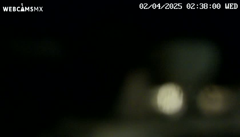 A blurry nighttime image shows indistinct lights in the distance.