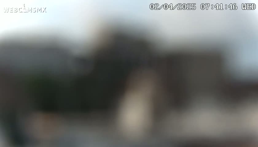 A blurry outdoor image shows a mostly gray and brown scene under an overcast sky.