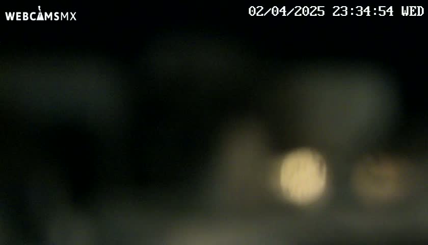 A blurry, dark image shows out-of-focus lights at night.