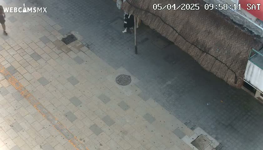 A high-angle view shows a paved street with two pedestrians walking, one near a building with a thatched roof.