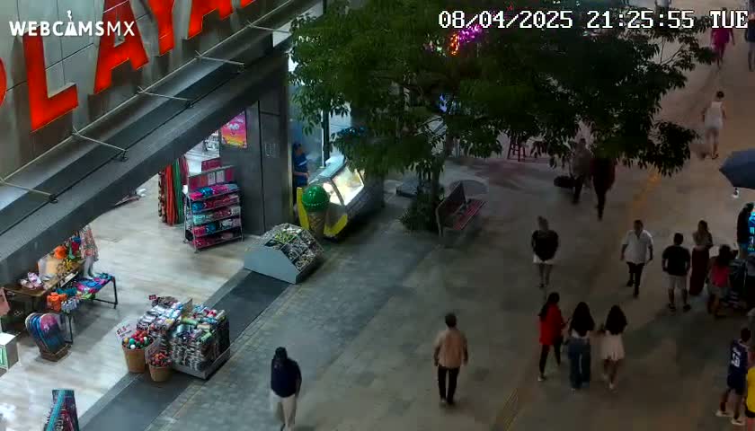 An outdoor plaza at night, with people walking around shops under the shade of a tree.
