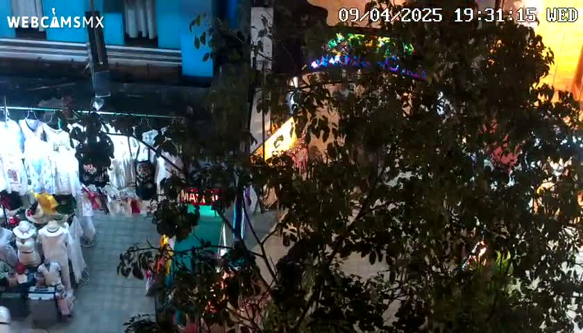 An outdoor nighttime scene shows a clothing store viewed through the branches of a tree, with the store's brightly lit signage visible.