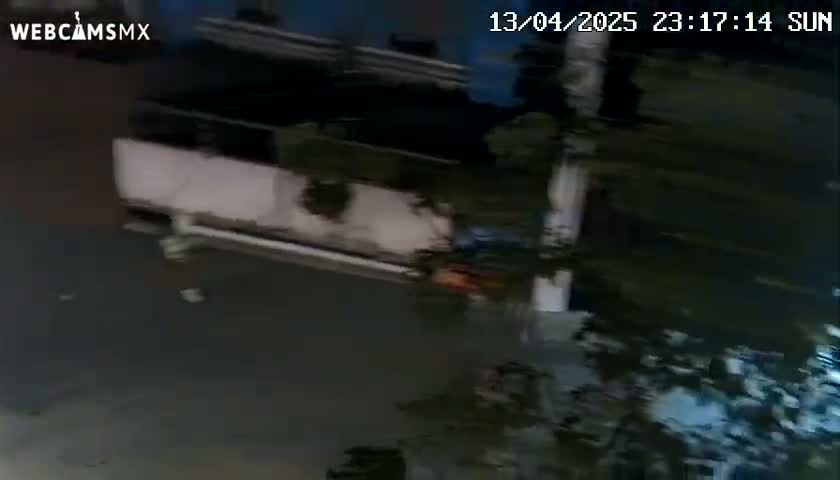 A nighttime, high-angle view shows a light-colored vehicle partially obscured by shadows and foliage on a dark street.
