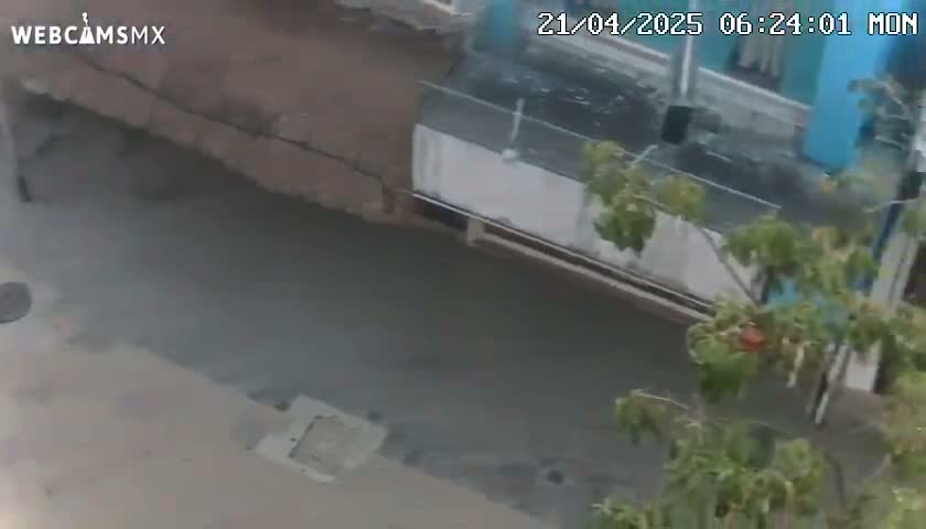 A high-angle view shows a section of a city street partially flooded, with a portion of a building and some leafy green plants visible.